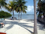 Beach in Pennekamp - pretty tropical!