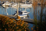 Squalicum Harbor in Bellingham, WA... beautiful place, great facility!
