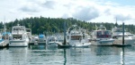 Can you find the C-Dory in this photo?  (Roche Harbor Marina)  Look for the happy owners!