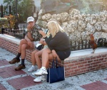 Rooster at Mallory Square