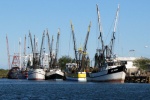 shrimp boats