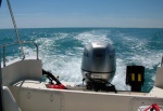 Cruising in the Gulf of Mexico on a calm day