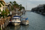 Wild Blue (CD-25) and Cat's Pajamas (Com-Pac SunCat catboat) together.