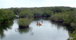 Waterways in Pennekamp - non-motorized.