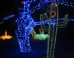 Zoo Lights