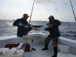 My son Nate and the mate getting ready to toss back in a 60 to 70 pound White Marlin off Hatteras May 2010. I caught one about ten minutes later and released it.