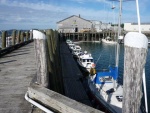 Will-C, Knot Flying,Cresent Girl, Island Trade,Hunky Dory,Widget and Alma's Only were on the docks just outside the picture. Billing's Marine in Stonington Maine August 2010