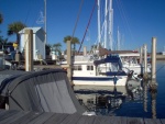 Panama City marina, Wild Blue