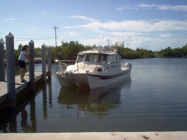 Discovery in Dodge Lake, Marathon, Fl.