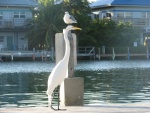 Seagull and Egret