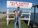Two Red Drum 24
