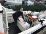 The beautiful wife cleaning her fish (hey she insisted)