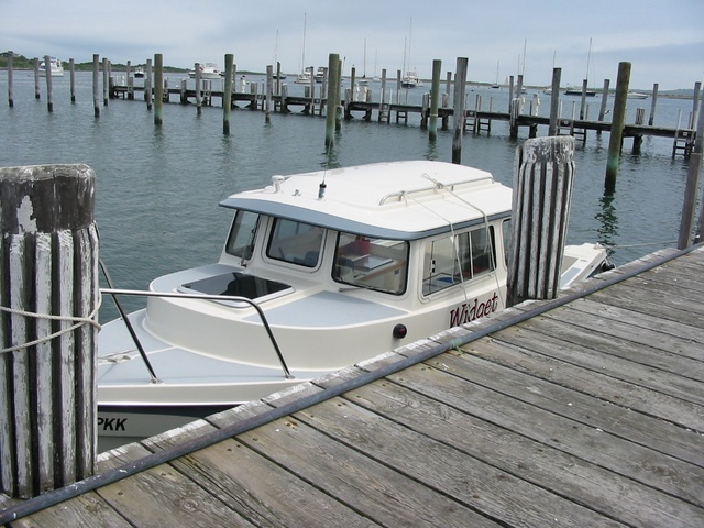 Widget the water taxi