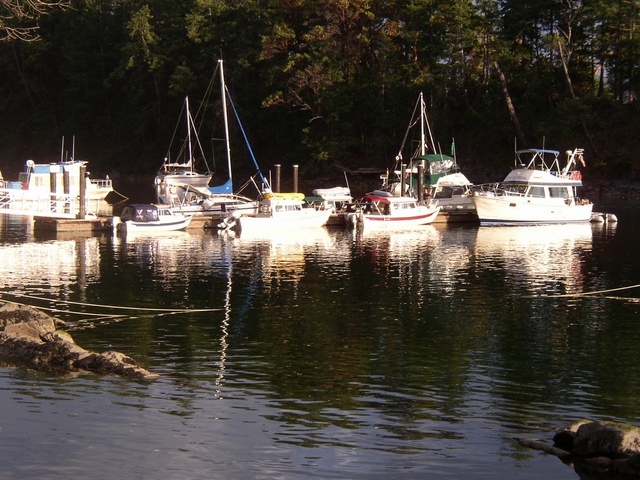 Bambina, Anita Marie, Halcyon and Daydream at Government docks Conover Cove, Wallace Island