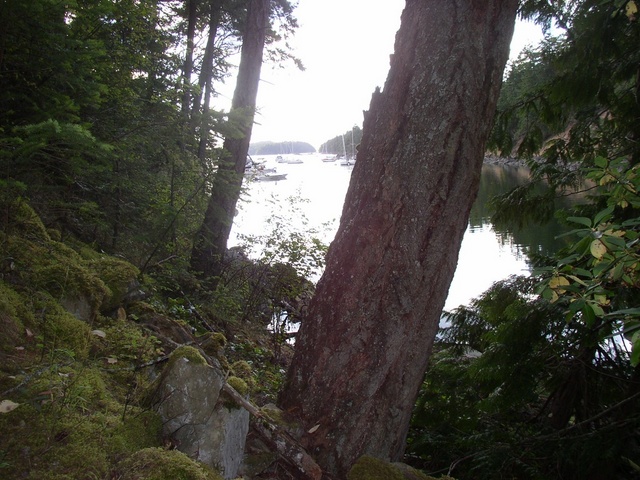 Princess Cove, Wallace Island