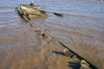 Wreck on the Chester River, exposed by winter storm.