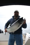 tommy sook inlet salmon