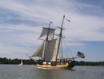 Highlight for Album: Tall ships on the Chester River