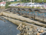 Fish ladder in Juneau at the Hatchery