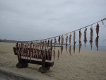 Drying fish