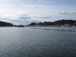 Gig Harbor looking towards the entrance.  A great anchorage!  Nice and protected with a mud bottom.
