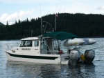 Discovery, Dingy bracket over the swimstep.