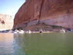 Island in Escalante River Arm, at mile 12.