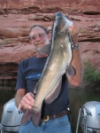 Brent's Cat Fish in Cedar Canyon