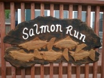 Salmon Run