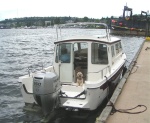 (Pat Anderson) - Ivar's Salmon House Dock, Lake Union - Stern View with Dog