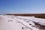 Shell Island (Panama City)