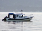 (Pat Anderson) Sailor D at Sidney Spit