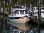 (Pat Anderson) Daydream at the Dock at Sidney Spit