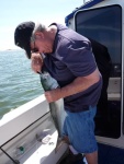 My bucktail tipped with a strip of mackeral came right out but someone previous to me had a swivel break off with a long section of wire and this guy was gut hooked cut wire as short as possible and released