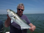 Great light tackle fish. All released today.Fishing just inside Little Egg Inlet next to Little Beach N.J. May 1st 2010. D.D having a bad hair day