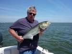 I usually stand mackeral straight up shave strip baits off two fish string up whats left and hang them along side the boat putting the baited bucktail right in the slick created by the two skinny ones teathered to the boat. Like taking candy from a baby.