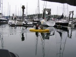 Friday Harbor 2010 001