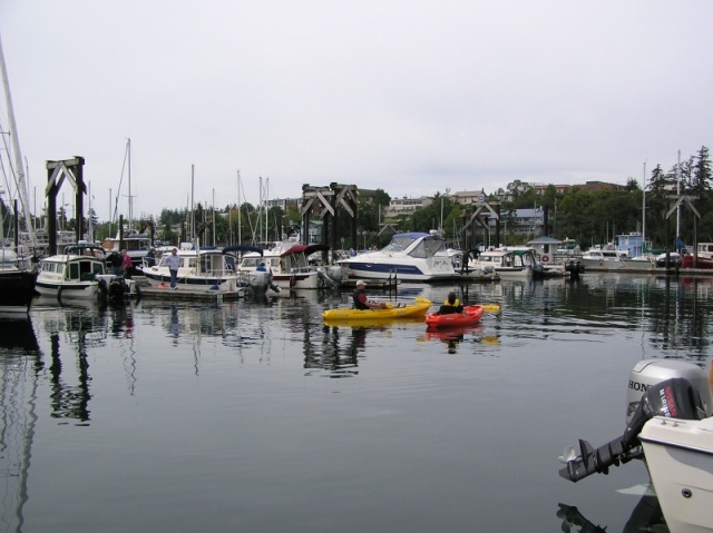 Friday Harbor 2010 004