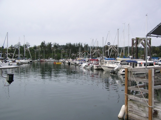 Friday Harbor 2010 007