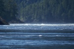 Princess Louisa Trip, 07-10 033 Sechelt Rapids