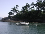 Daydream on the Buoy, Patos Island, 6-7-03