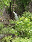 Falls just out of Stehekin