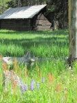 Old log building near marina