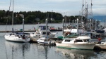 Looking small at the Sitka Harbor transient dock