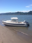 Cruiser on the Columbia River!