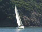 Tacking toward Angel Island in Raccoon Strait