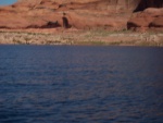 Low flying airplane headed up the main channel just South of the Escalante River Arm 9-24