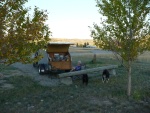 Madison River MT October 2010 (Indian Summer)