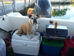 Lucy enjoying a Sundowner at Bahia Honda Key March 2011