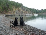 Salty's crew--- Tess, Annie and Charlie
We refer to them as 